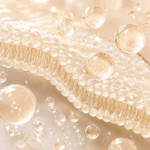 Ceramide NP